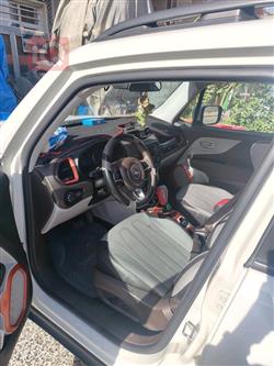 جيب رينيجيد